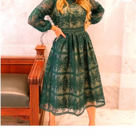 green emerald velvet dress Ivy City Green Addie Dress NWT- Size 1X  The Saved Collection